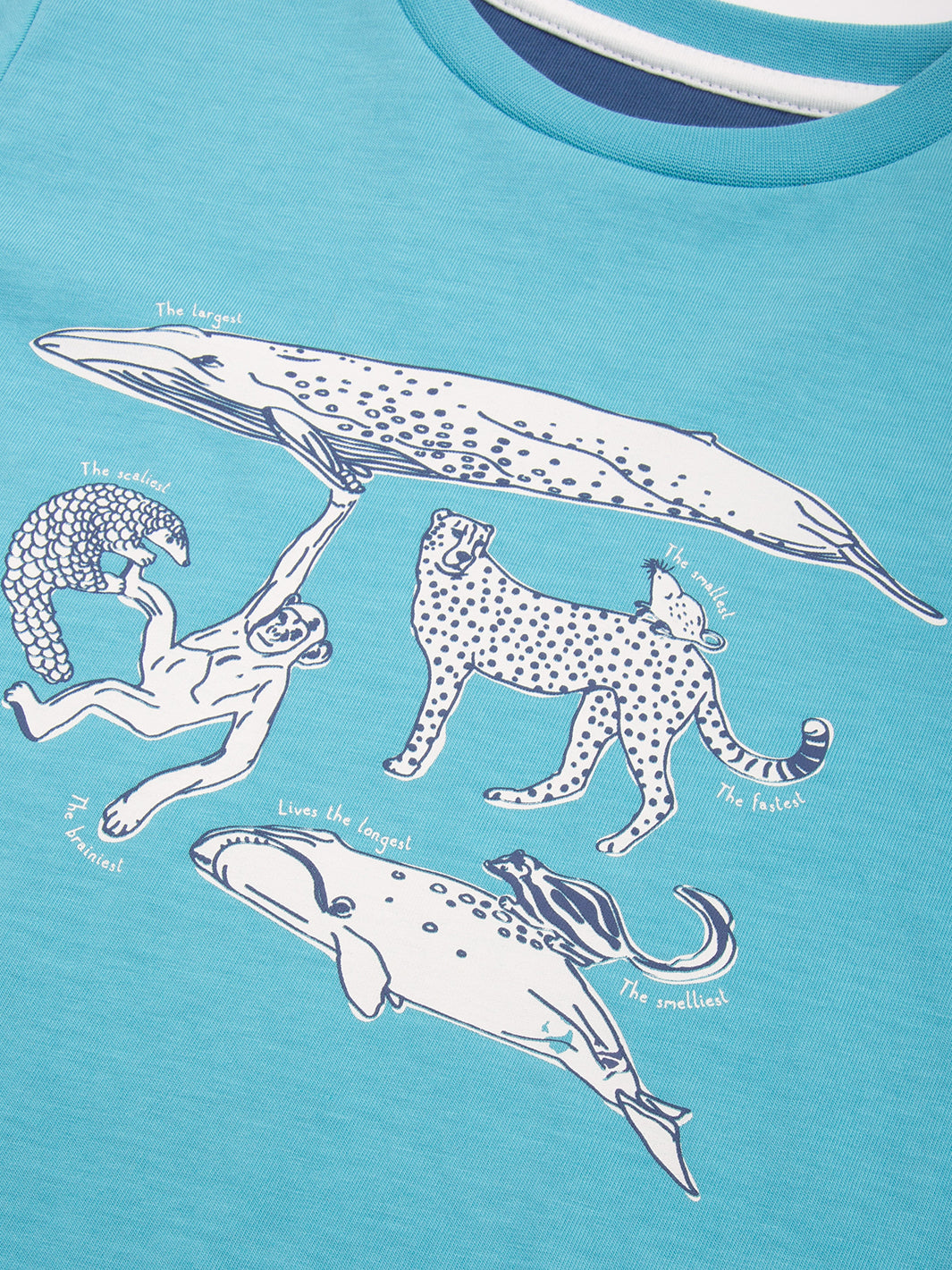 Kite Marvellous Mammals T-shirt - Blue