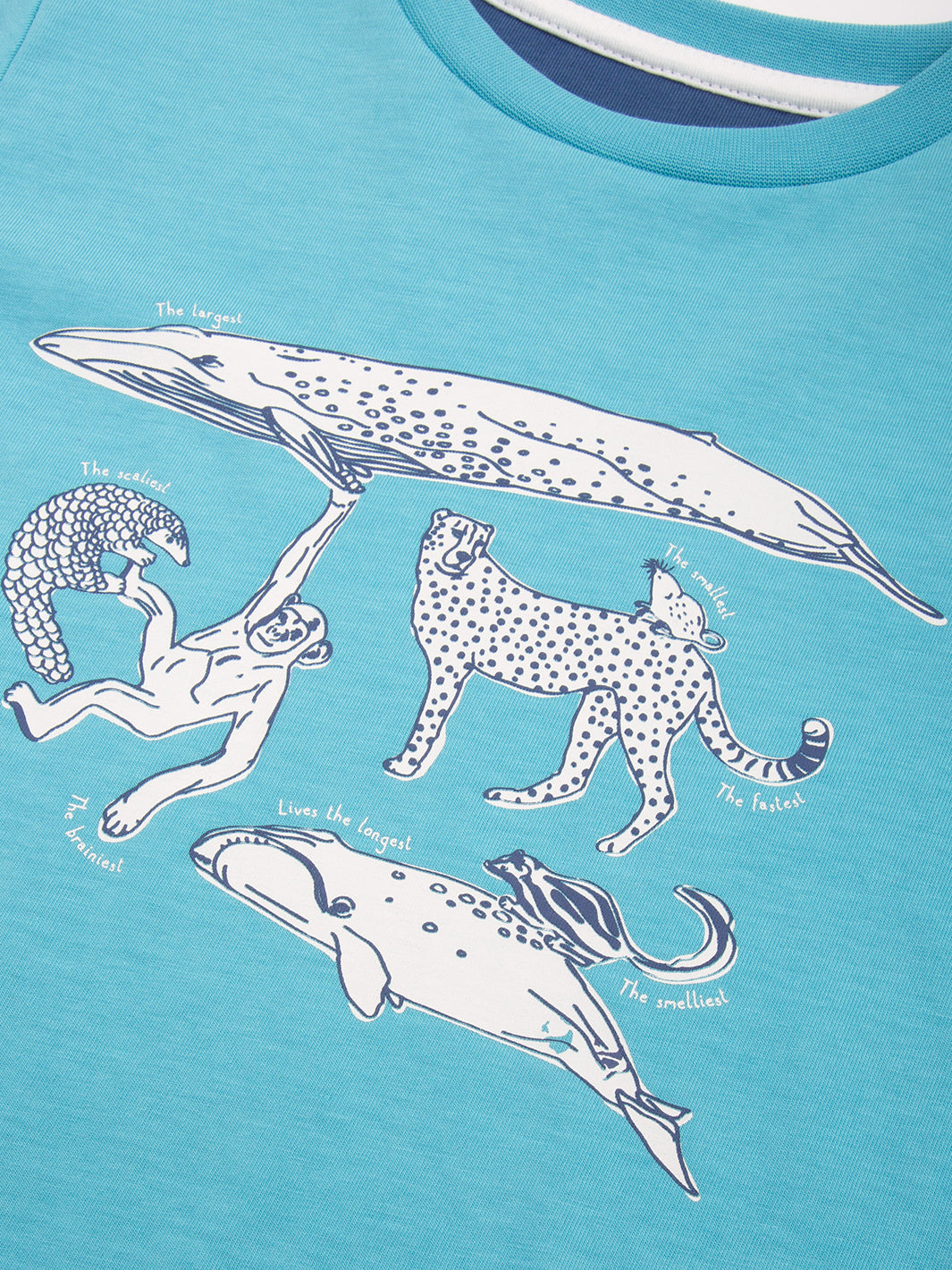 Kite T-Shirt Long Sleeve - Marvellous Mammals Blue