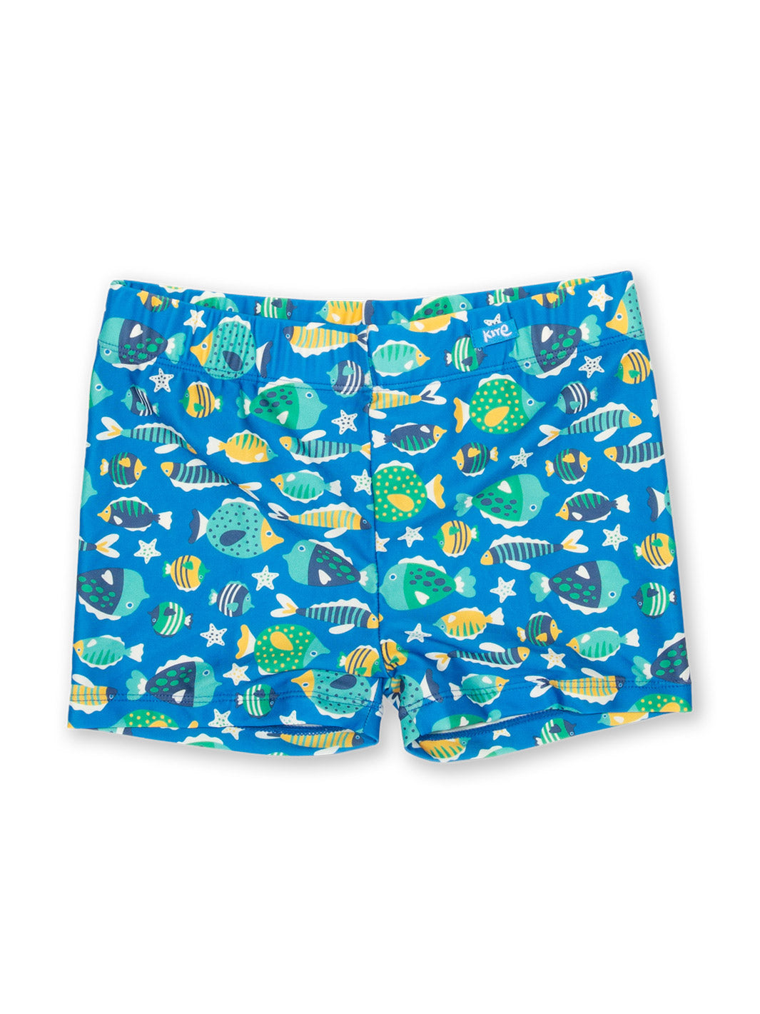 Kite Swim Trunks - Funky Fish