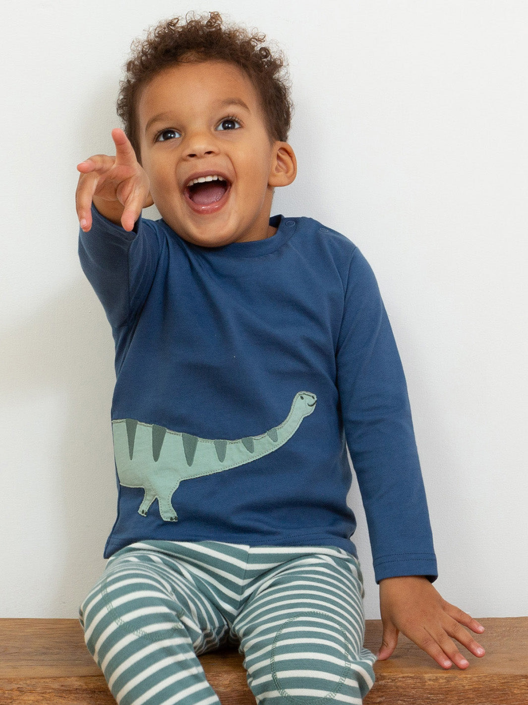 Kite T-Shirt Long Sleeve - Dippy Dino Navy