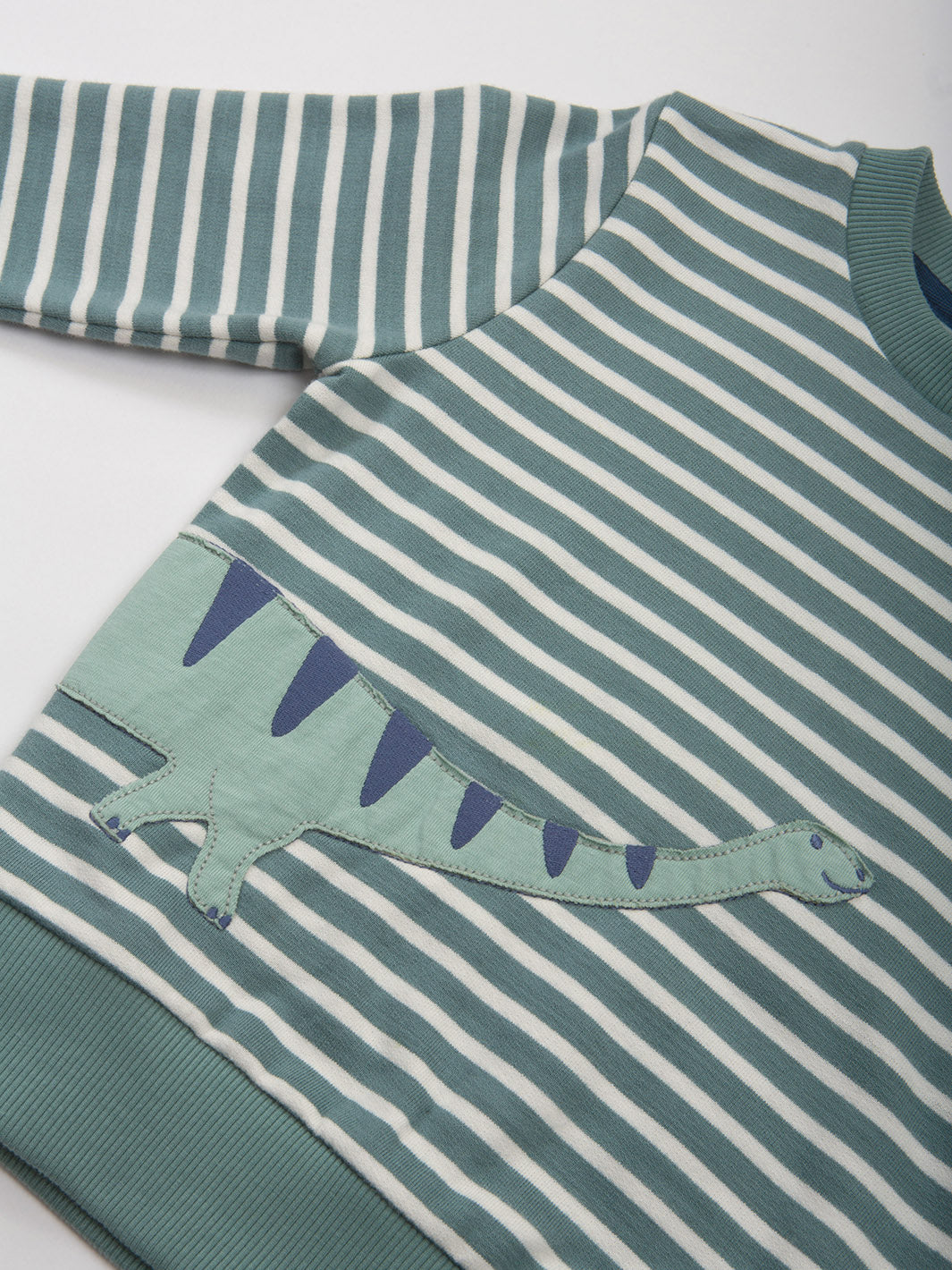 Kite Sweatshirt - Dippy Dino Green