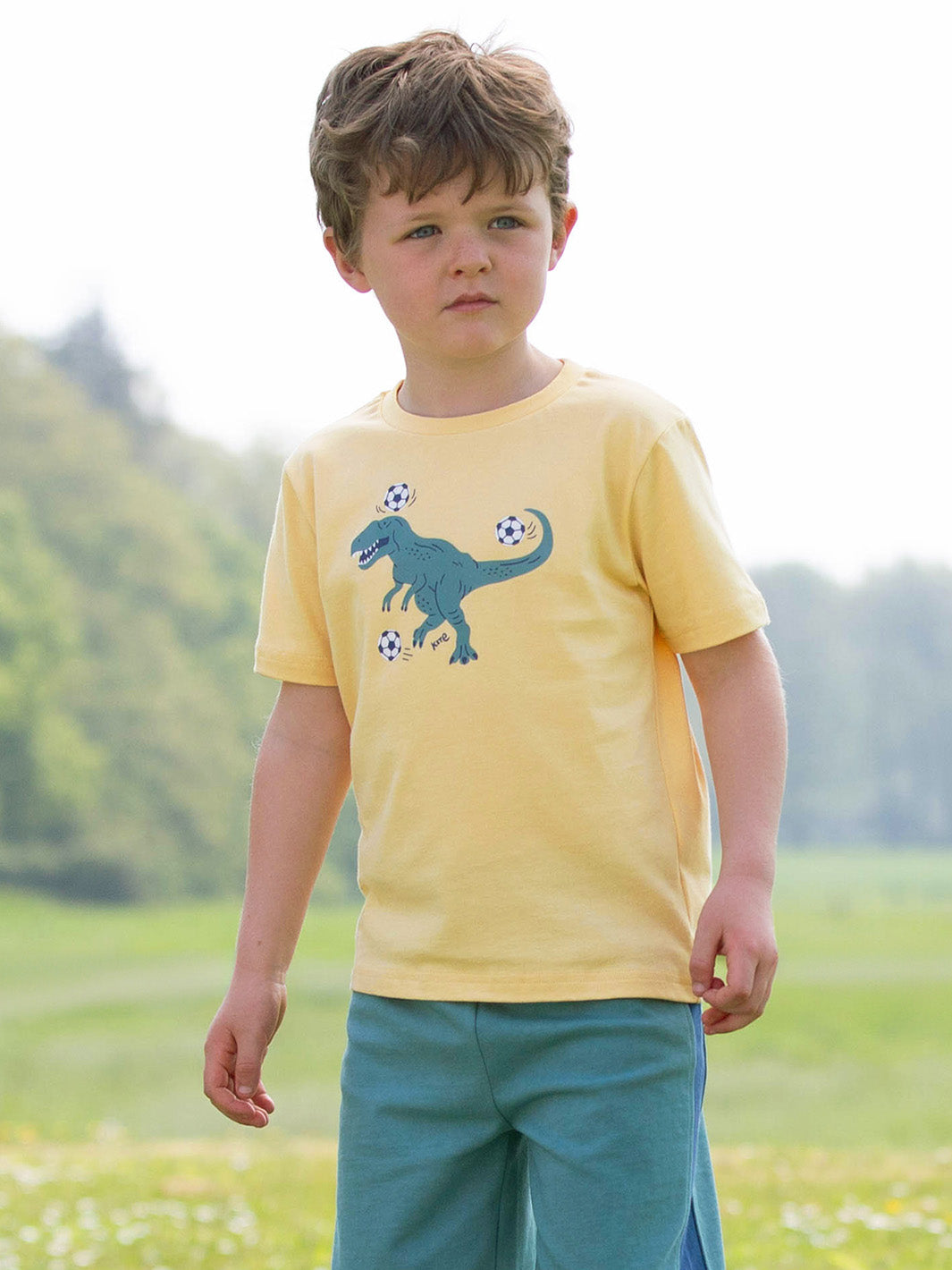 Kite T-Shirt Short Sleeve - T-Rex Tricks Yellow