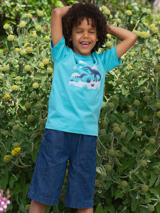 Kite T-Shirt Short Sleeve - Spinosaurus Blue