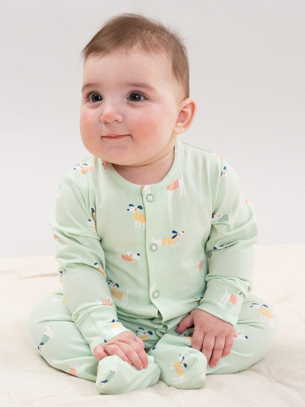 Kite Sleepsuit - Lucky Pups (GOTS)