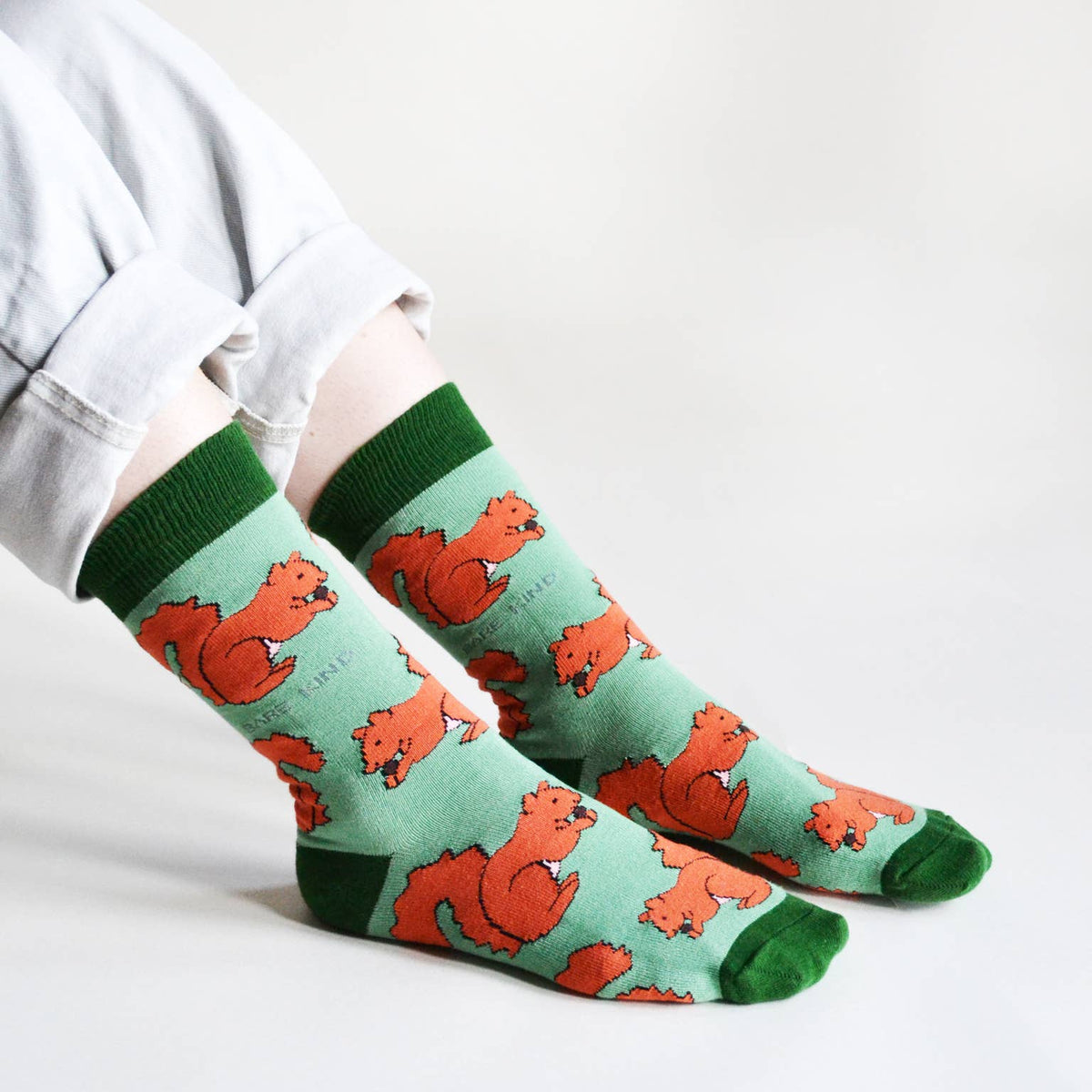 Bare Kind Adult Bamboo Socks - Light Green & Red Squirrel - Adult 7-11