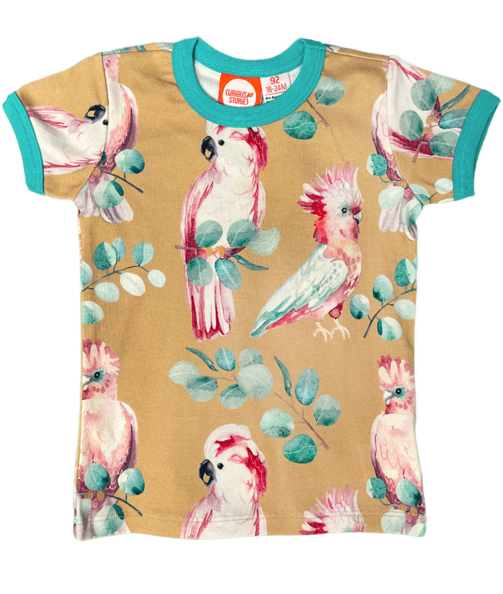 Curious Stories T-Shirt - Parrot