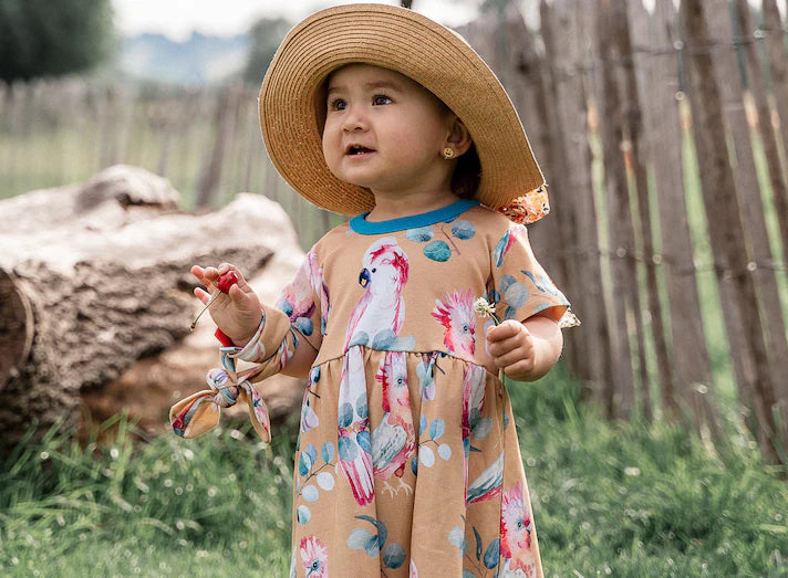 Curious Stories Summer Dress - Parrot