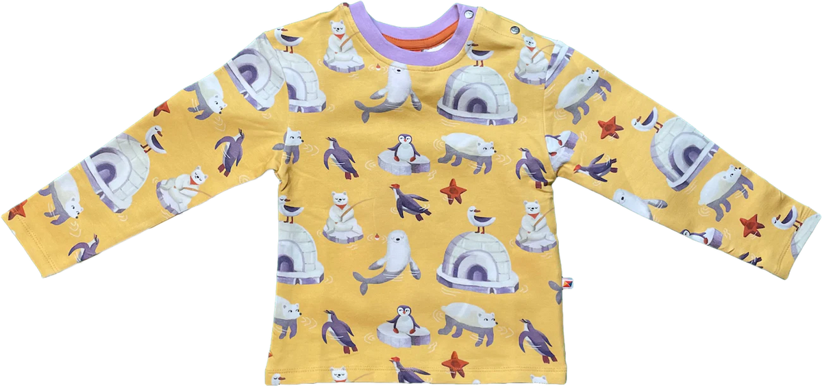 Curious Stories Shirt Long Sleeve - Polar Play