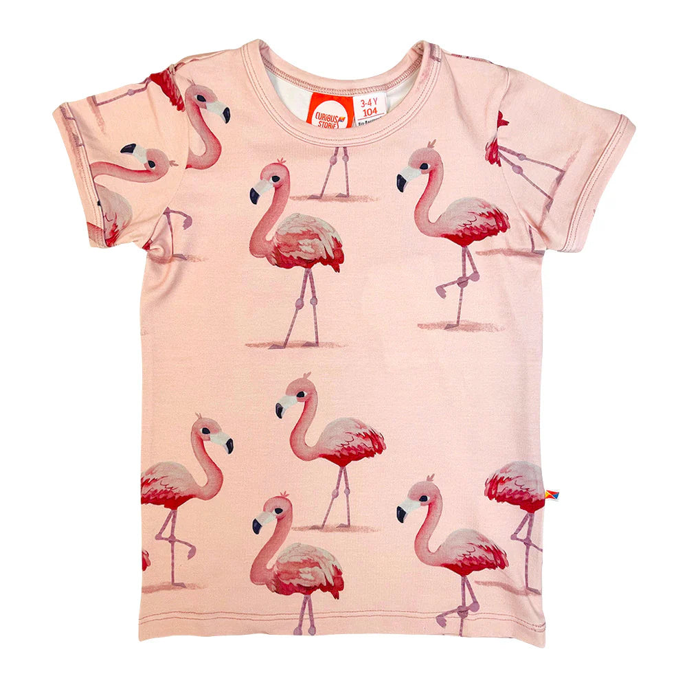 Curious Stories T-Shirt - Flamingo