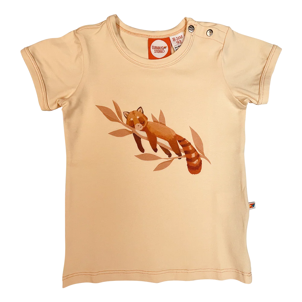 Curious Stories T-Shirt - Cosy Panda Print