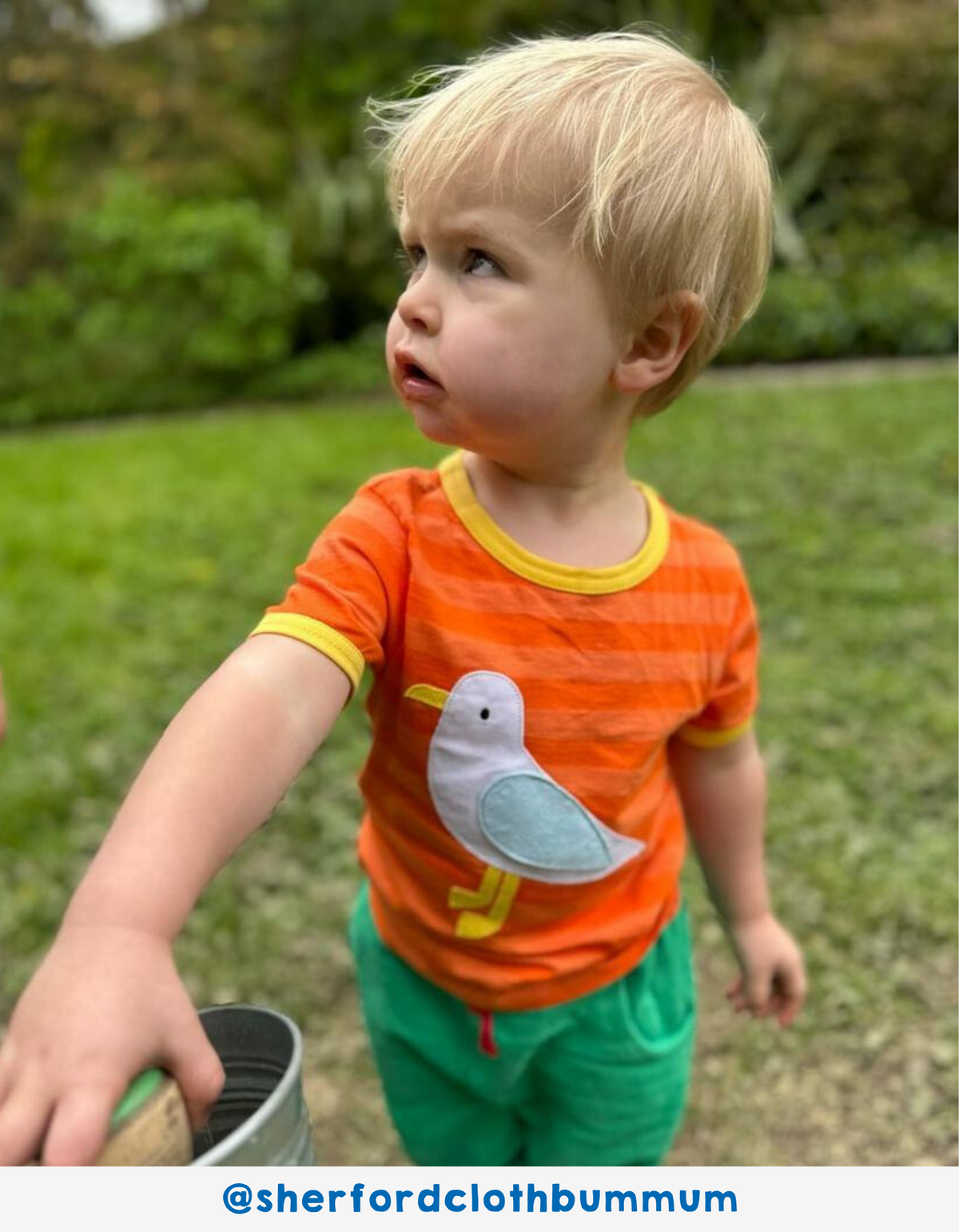 Toby Tiger Organic T-Shirt Short Sleeve - Striped Seagull Applique