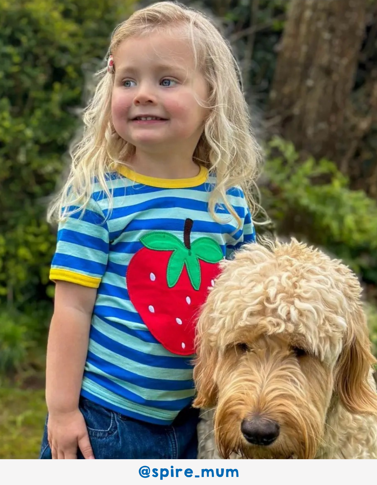 Toby Tiger Organic T-Shirt Short Sleeve - Strawberry Applique