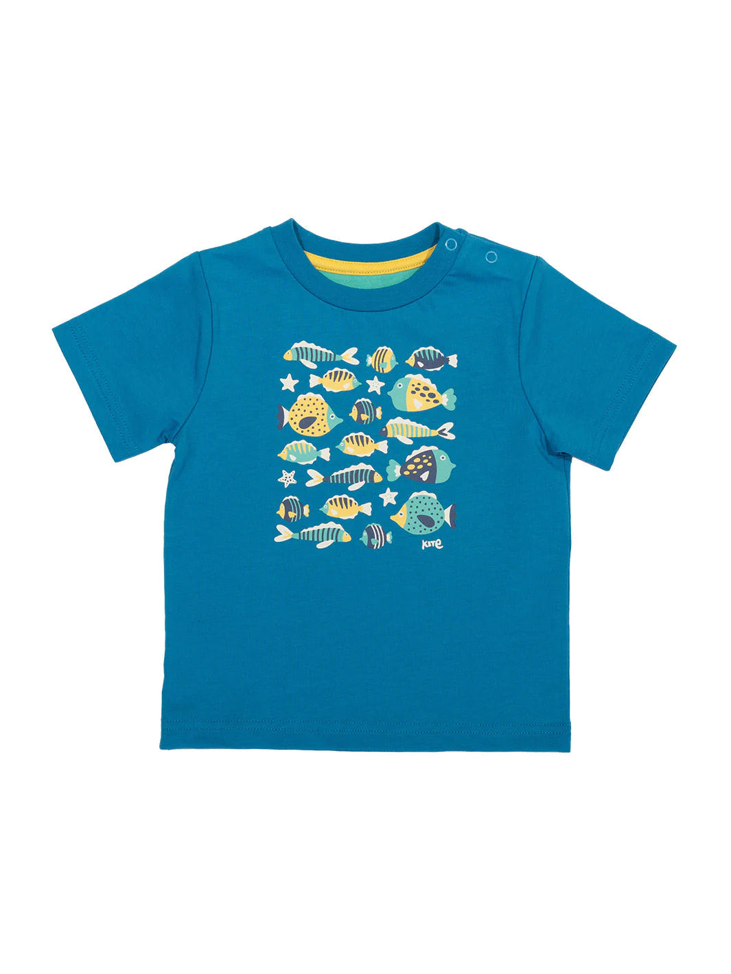 Kite T-Shirt Short Sleeve - Funky Fish