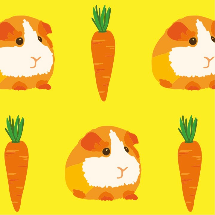 Pikolo T-Shirt Long Sleeve - Guinea Pig & Carrot