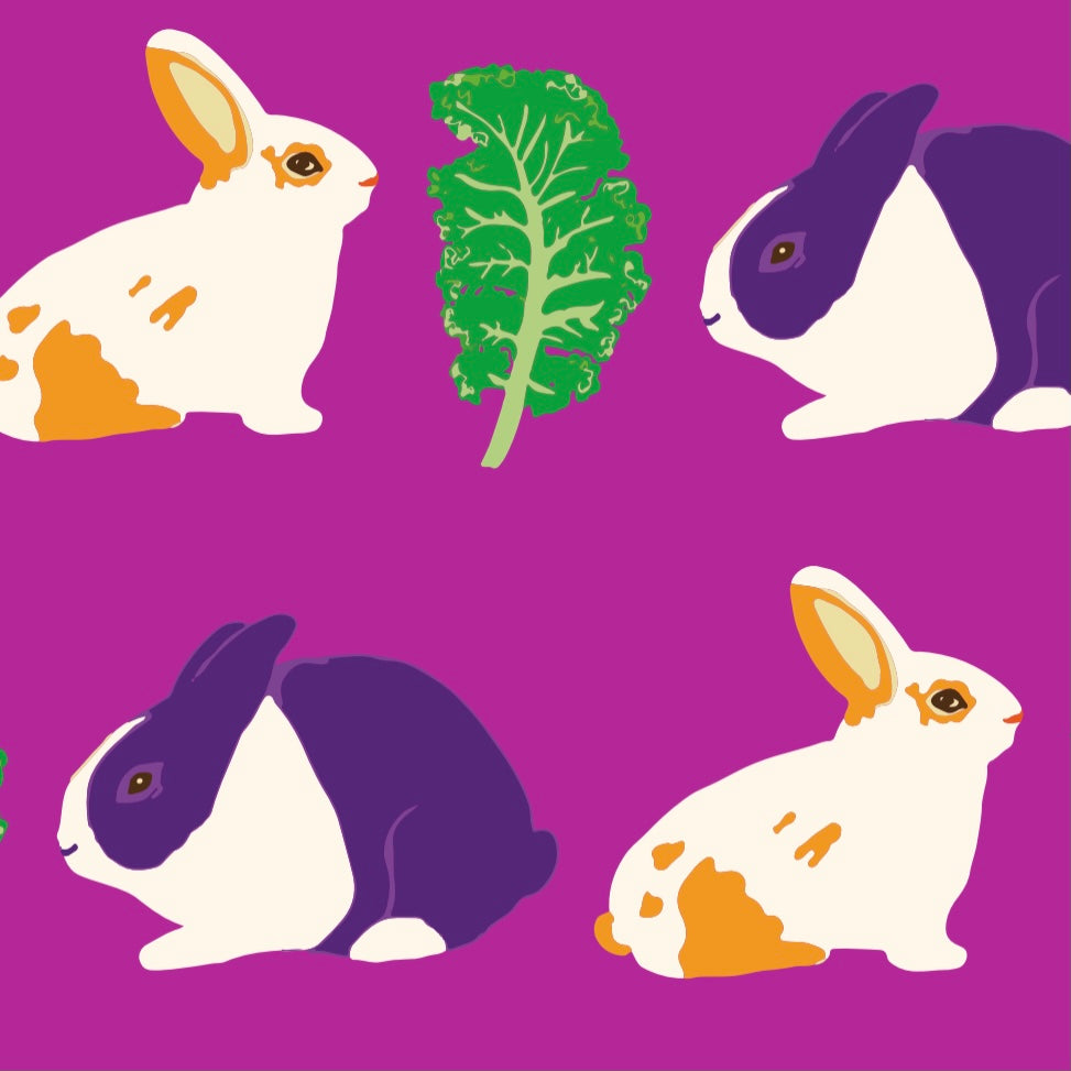 Pikolo T-Shirt Short Sleeve - Rabbit & Kale