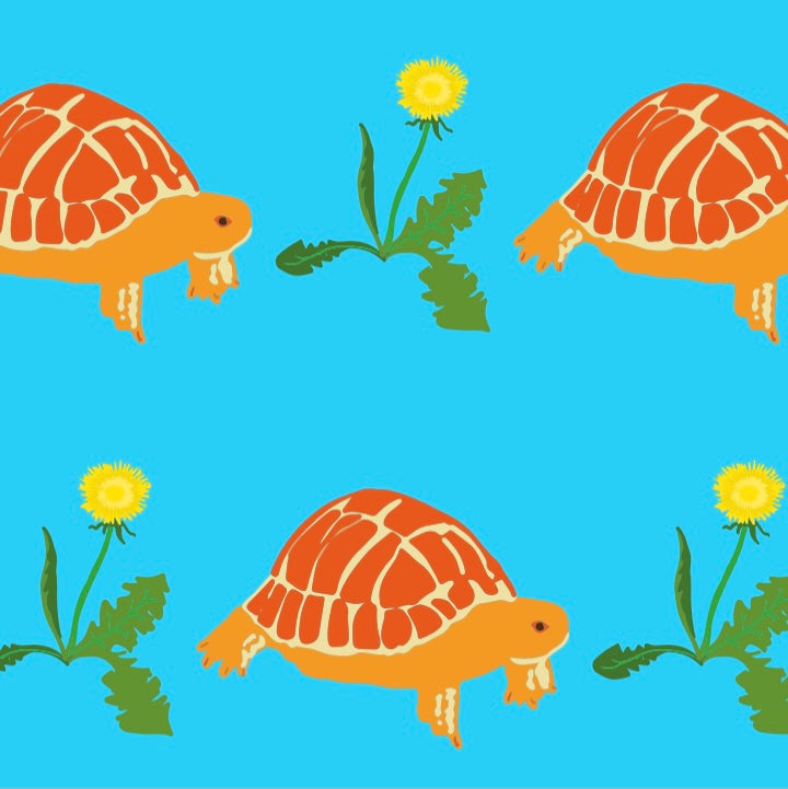 Pikolo T-Shirt Long Sleeve - Tortoise & Dandelion