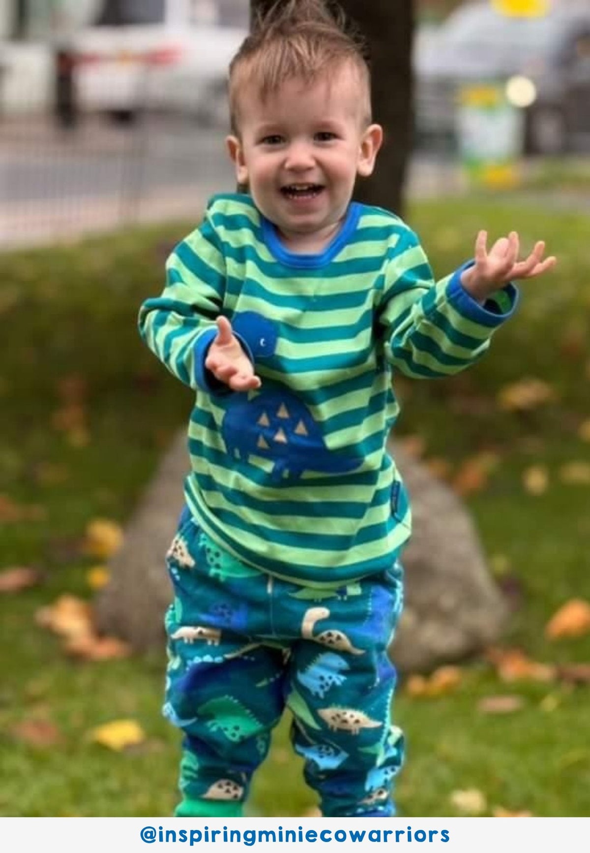 Toby Tiger Organic Top Long Sleeve - Tonal Dinosaur Green Applique