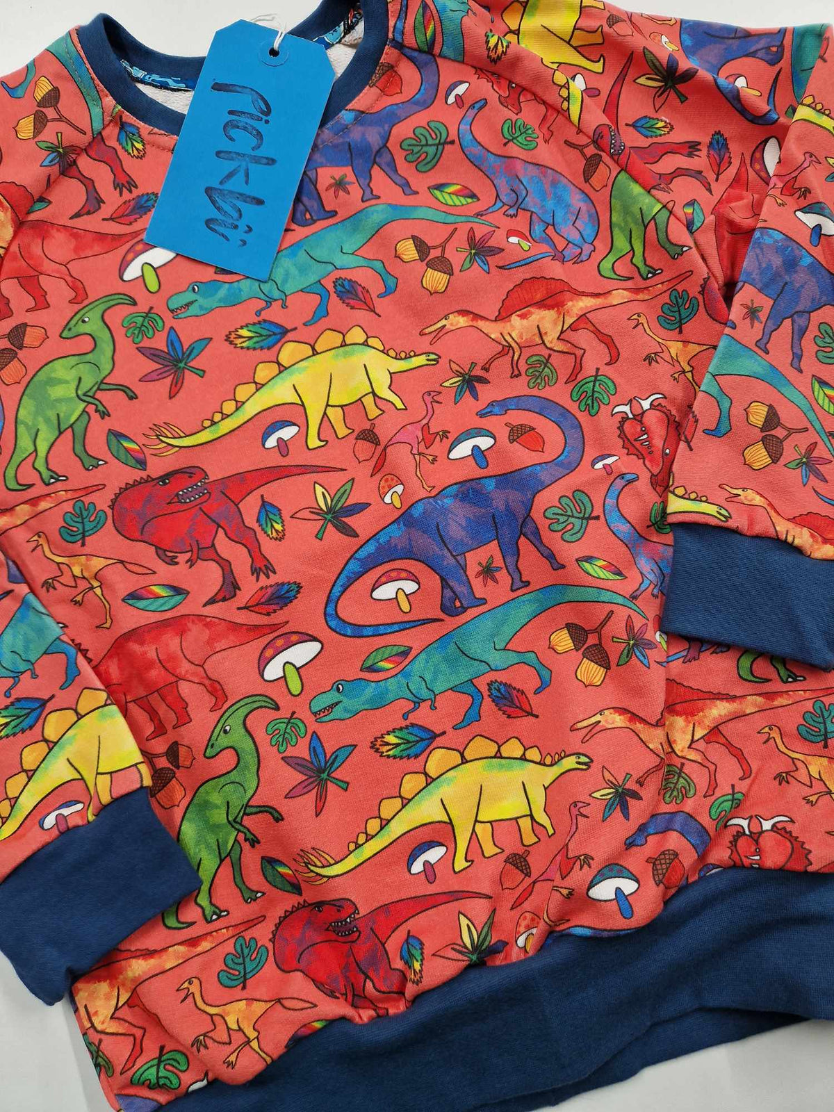 Pickbu Sweater - Dino Print Salmon Pink