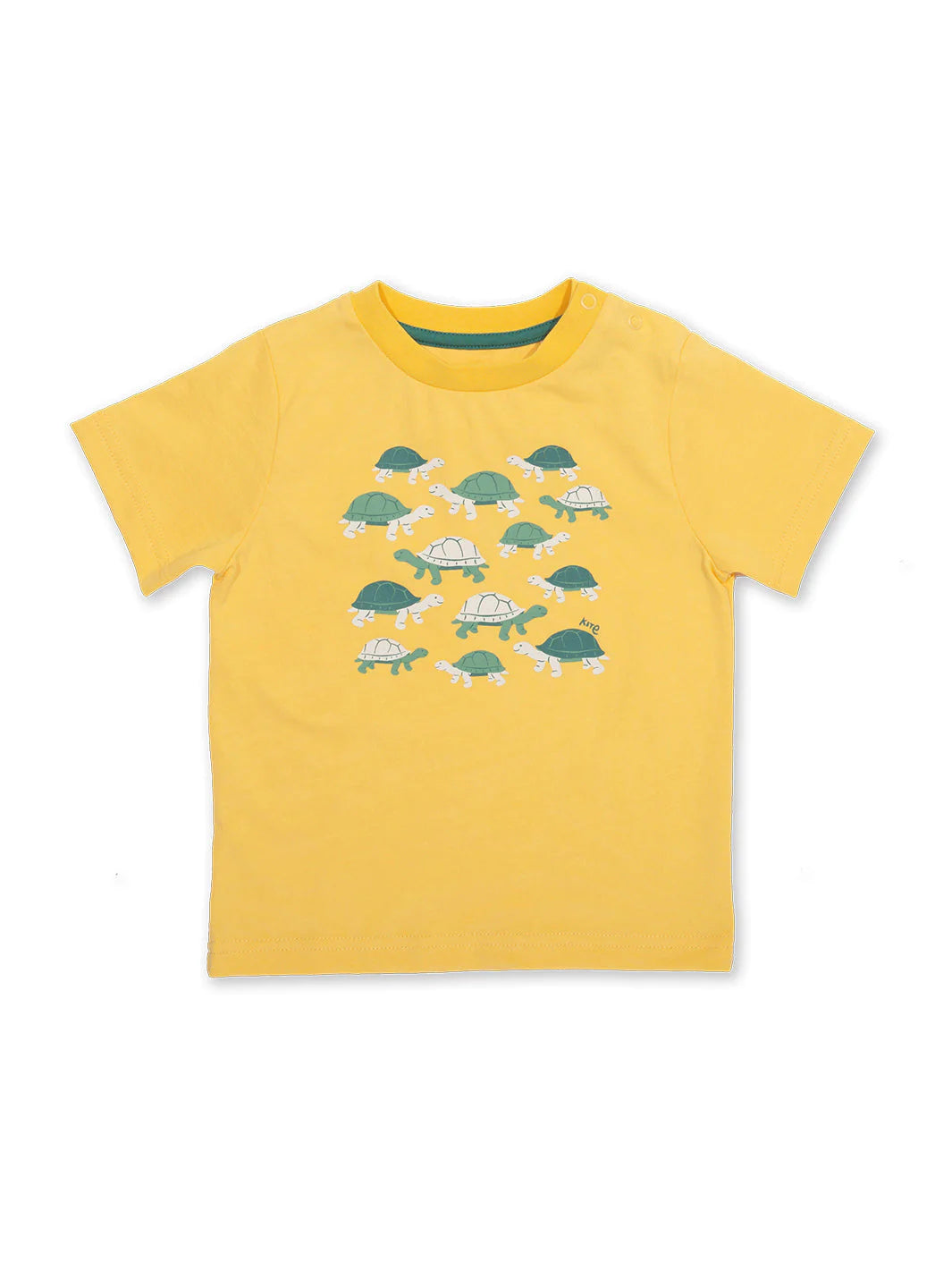 Kite T-Shirt Short Sleeve - Giant Tortoise