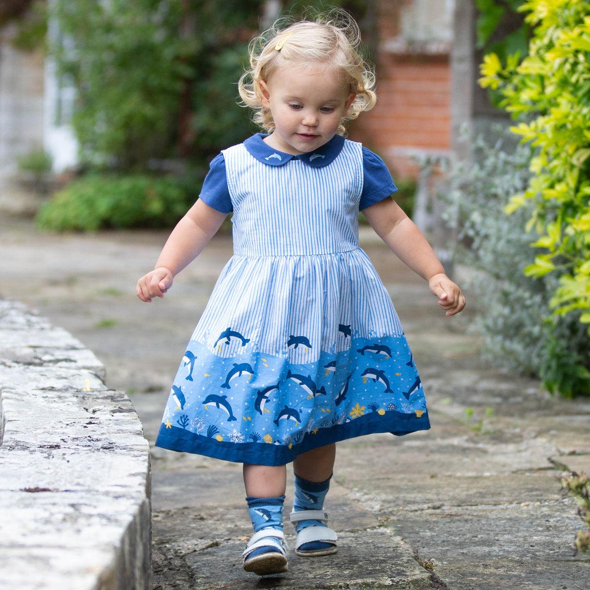 Kite Dress Set - Dolphin Dive