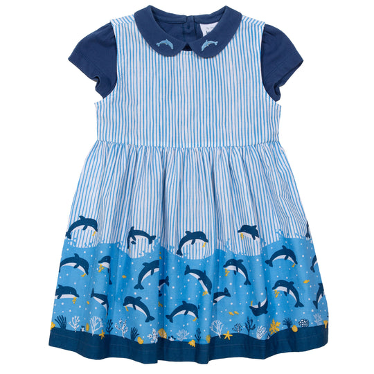 Kite Dolphin Dive Set