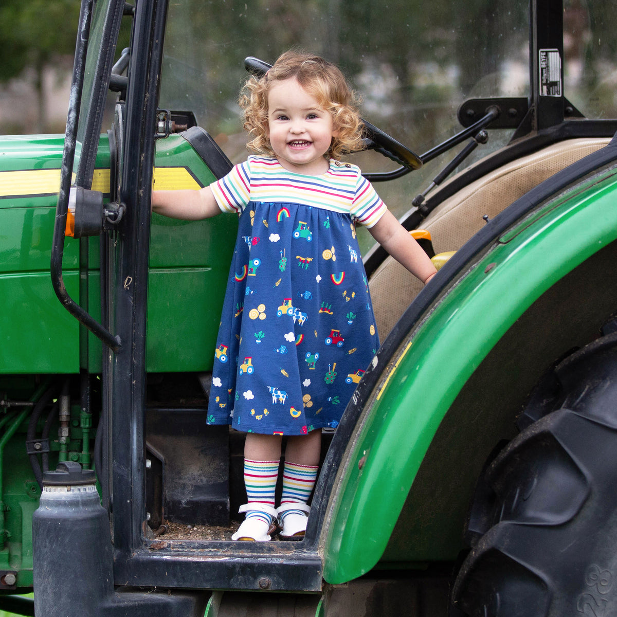 Kite Dress Short Sleeve - Farm Play