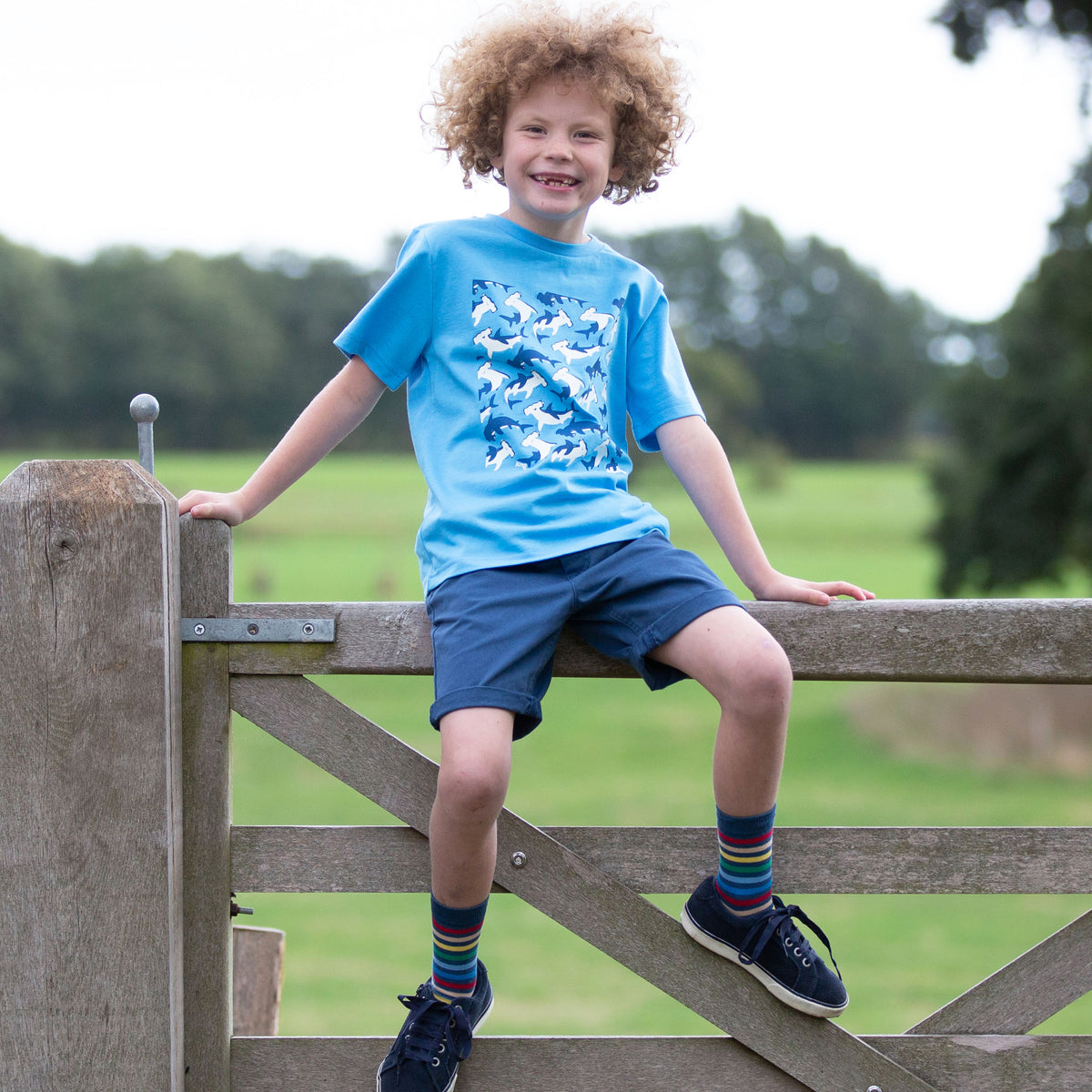 Kite T-Shirt Short Sleeve - Camo Shark