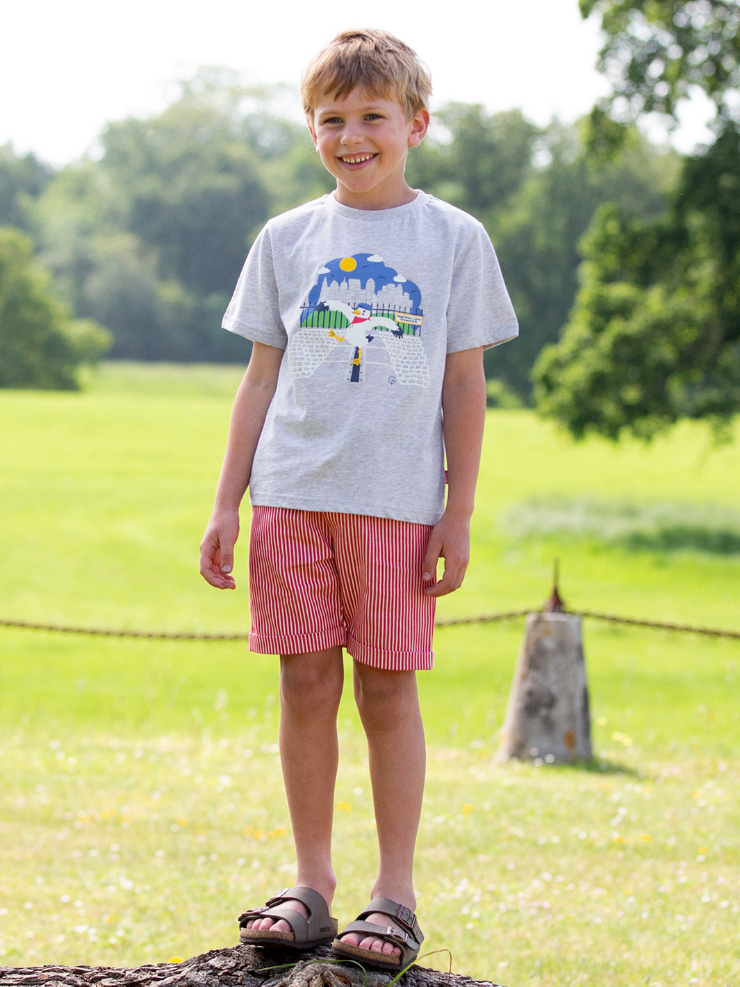 Kite Shorts - Ticking Red