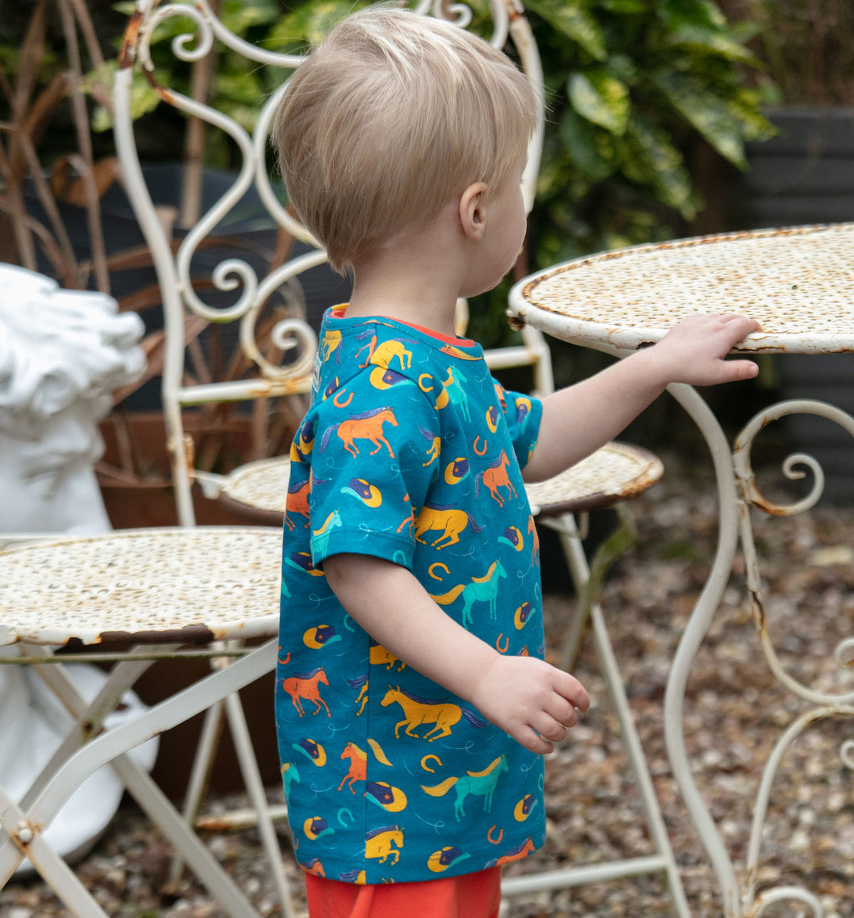 Piccalilly T-Shirt All Over Print Short Sleeve - Wild Horses