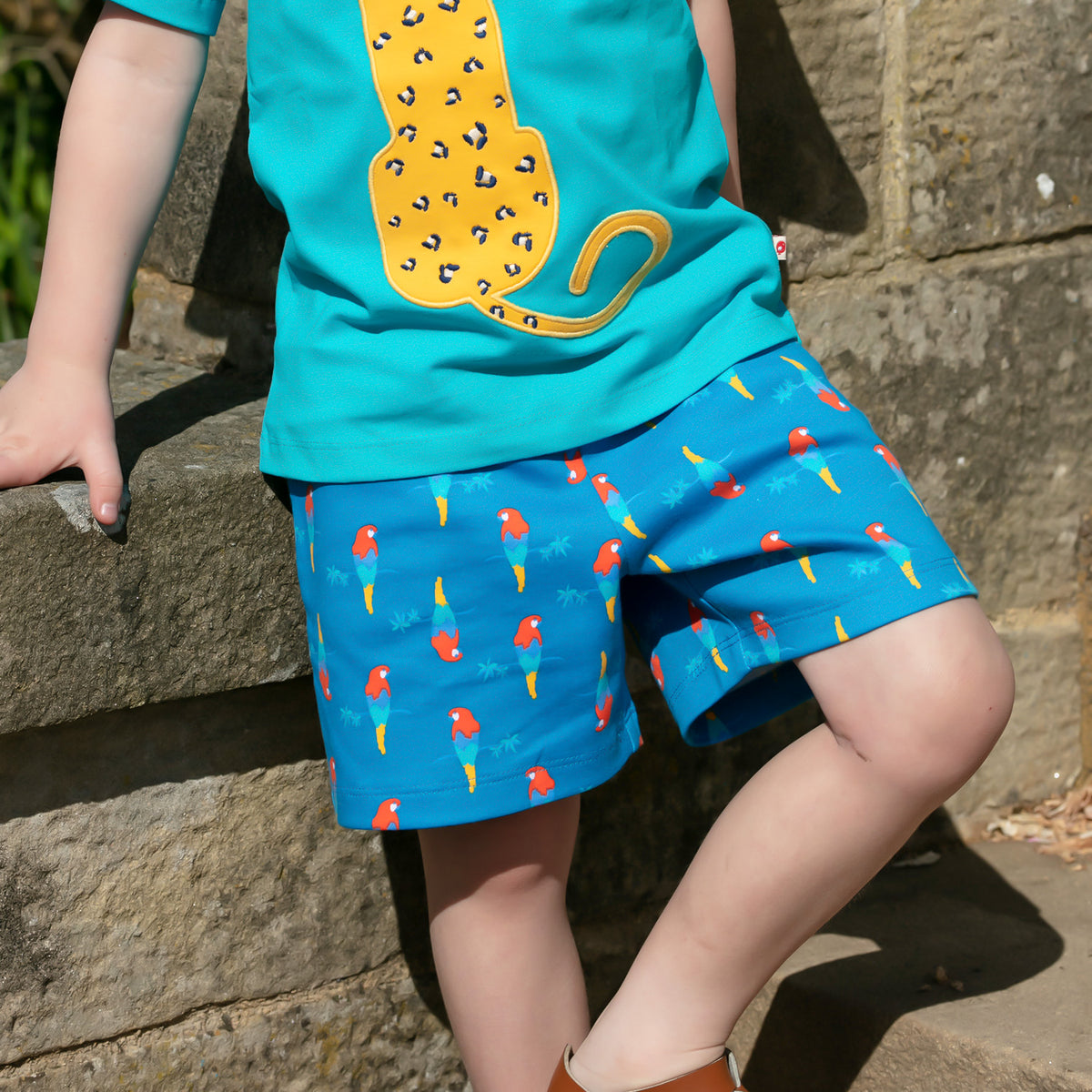 Piccalilly Shorts - Parrot