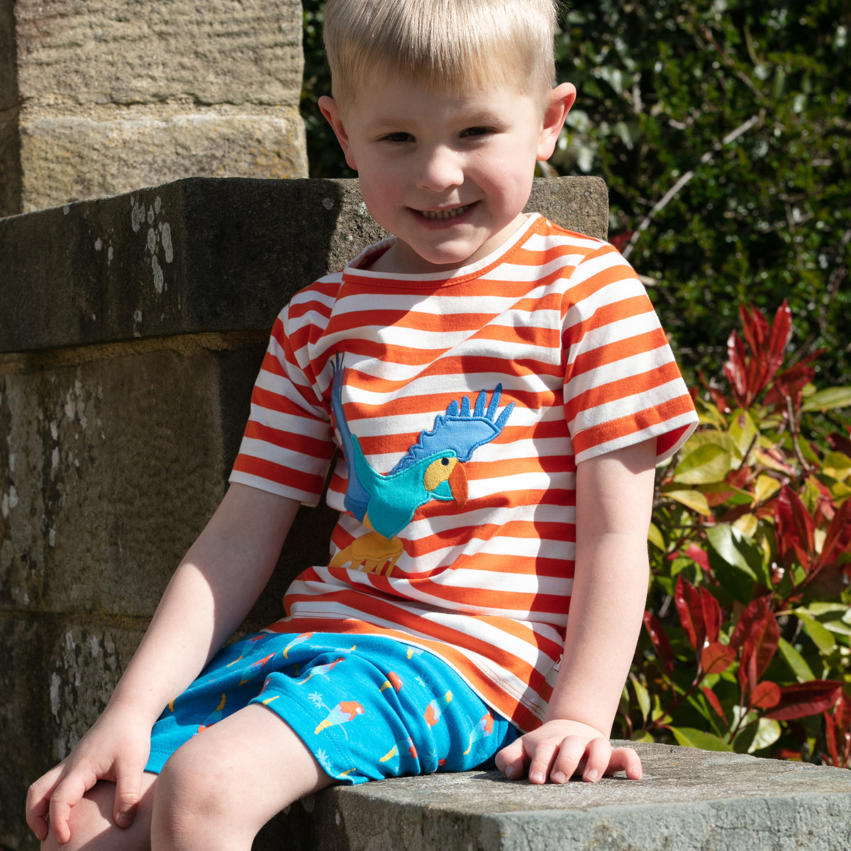 Piccalilly T-Shirt Short Sleeve - Exploring Parrot