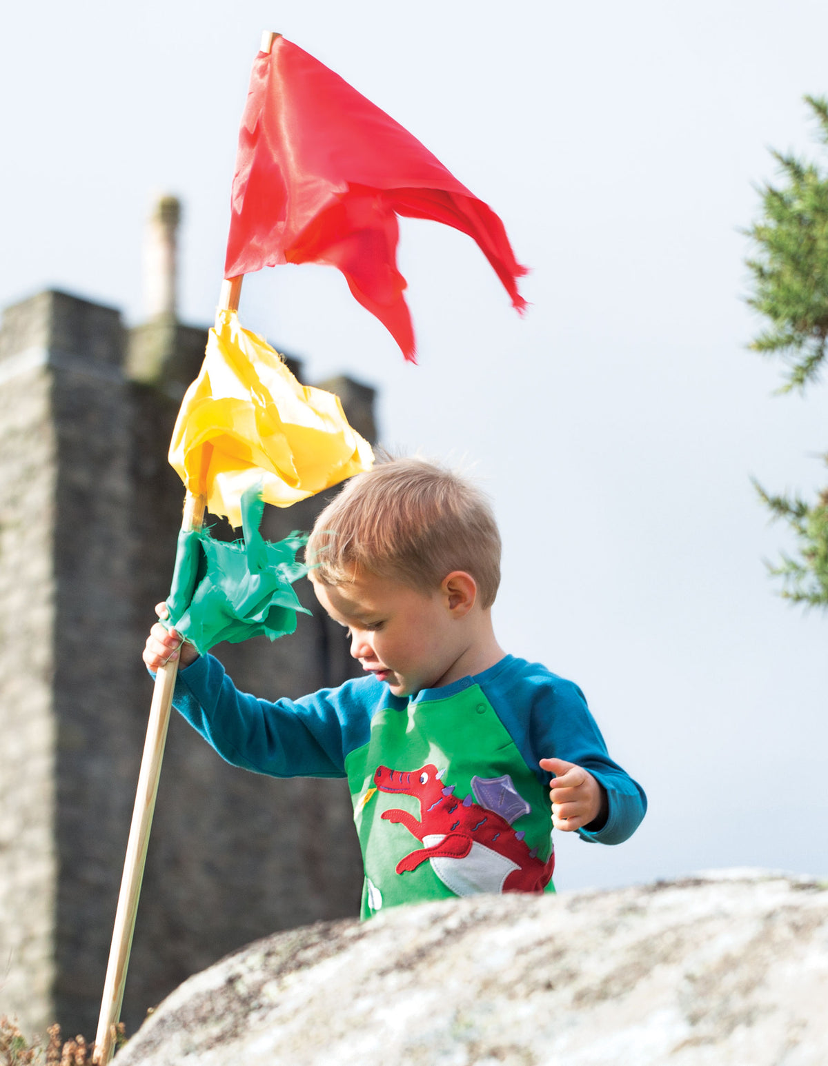 Frugi Little Albert Top Long Sleeve - Glen Green Dragon Applique