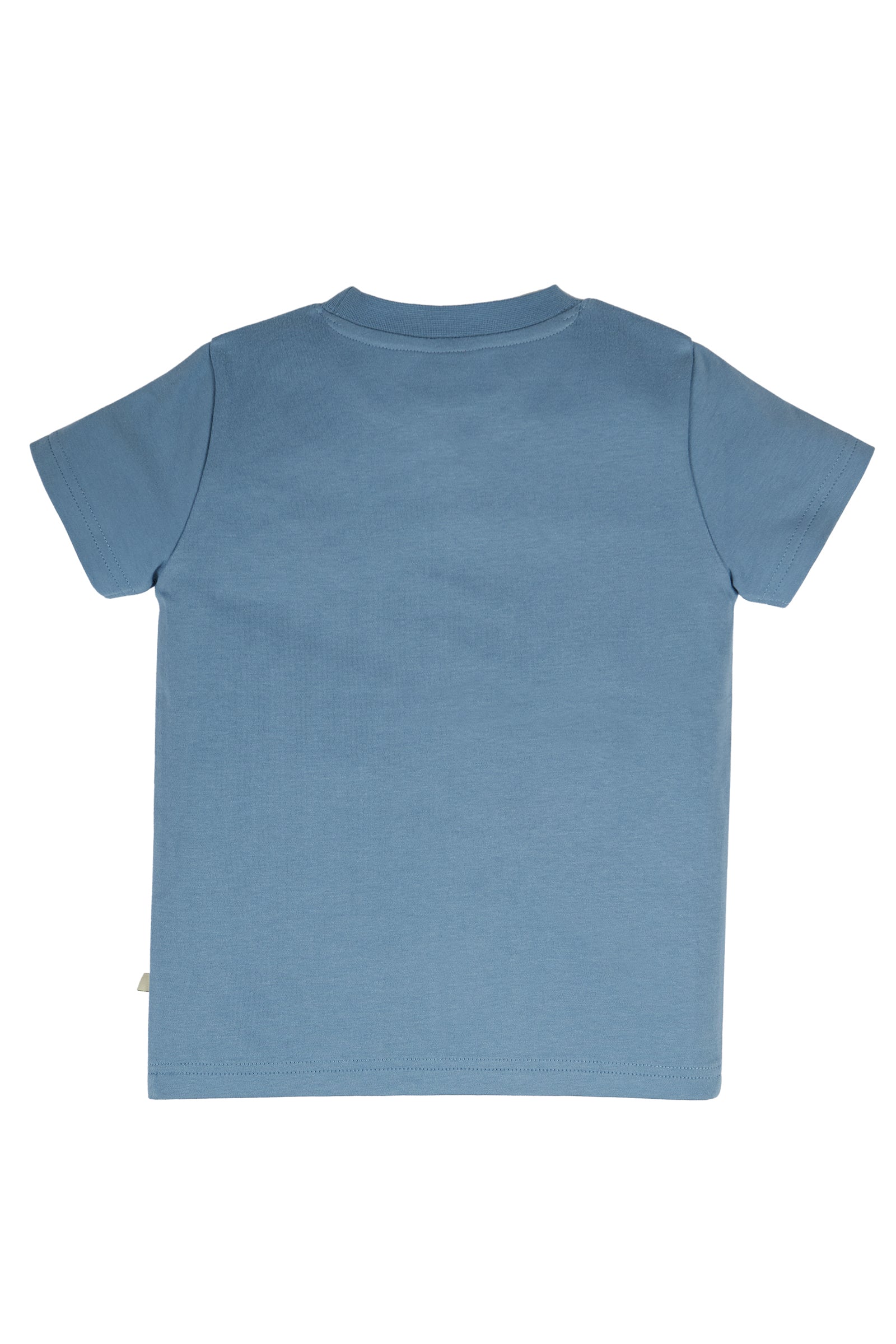 Frugi Carsen Applique T-shirt Short Sleeve - Abisko Sky/Eagle