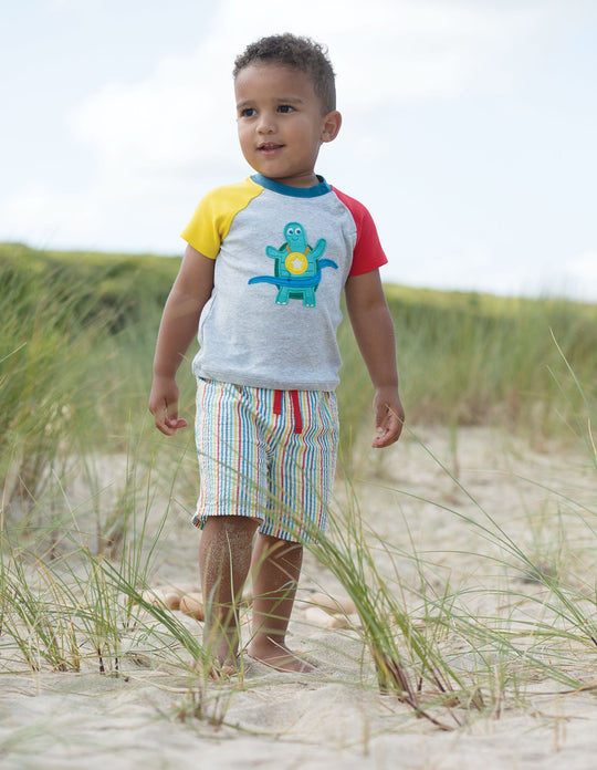 Frugi Renny Applique Raglan Top Short Sleeve - Grey Marl/Turtle