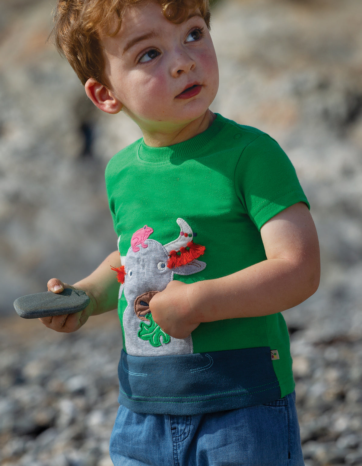 Frugi, Penryn Panel T-shirt, Glen Green/Buffalo