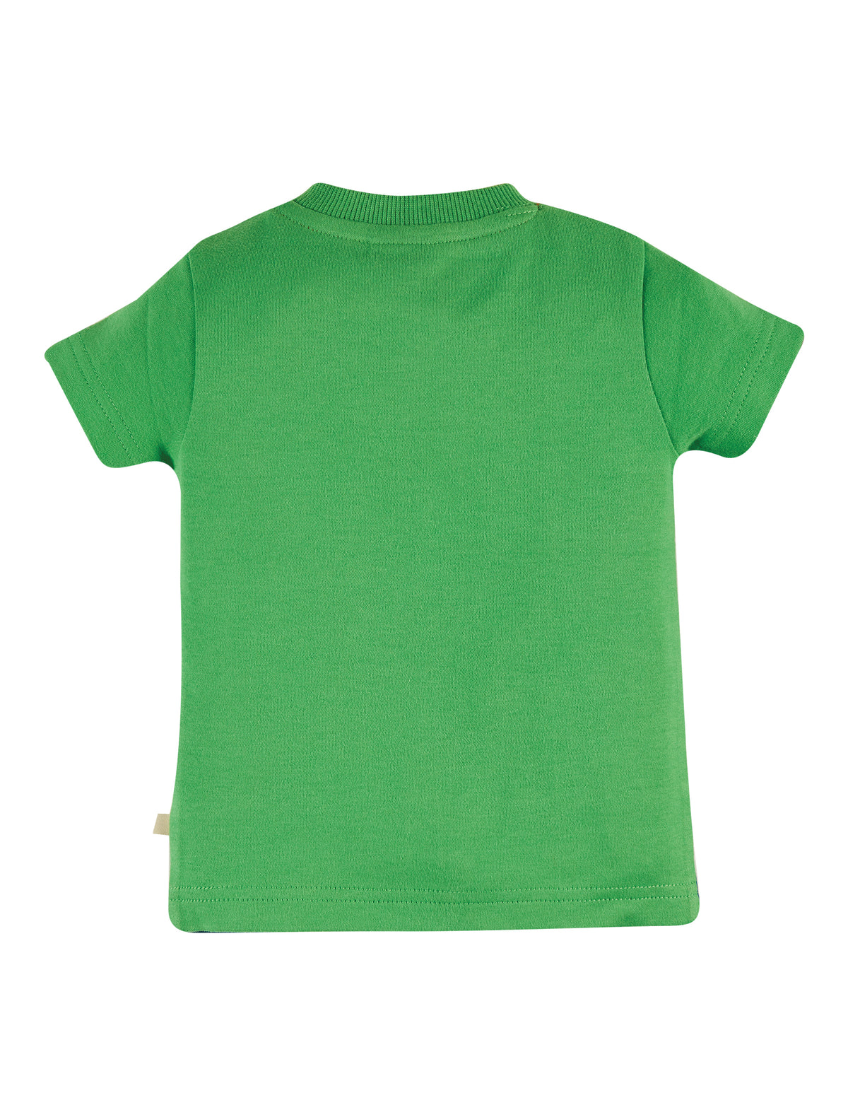 Frugi, Penryn Panel T-shirt, Glen Green/Buffalo