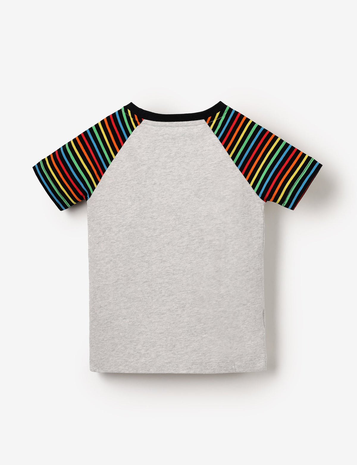 The Qt Organic Raglan Tee - Echidna Pianist