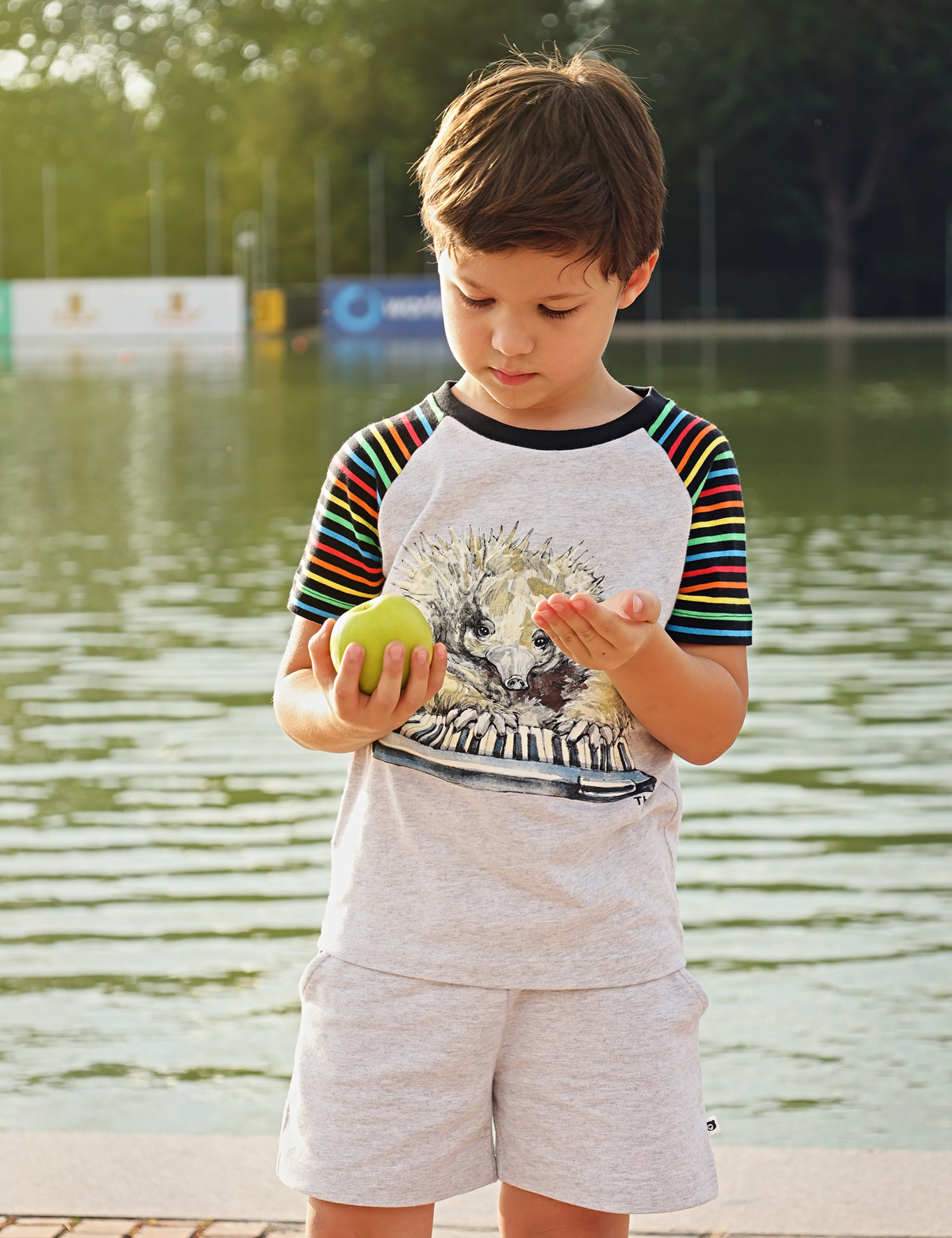 The Qt Organic Raglan Tee - Echidna Pianist