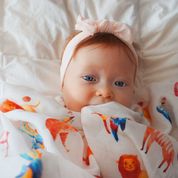 Curious Stories Swaddle - Tiere